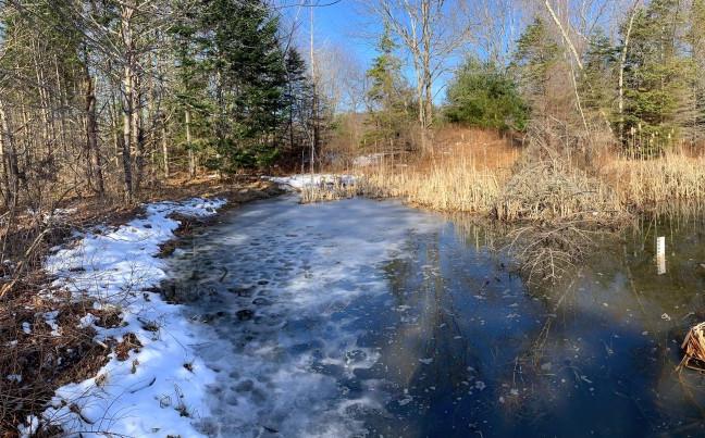 Large vernal pool in UNE's forest